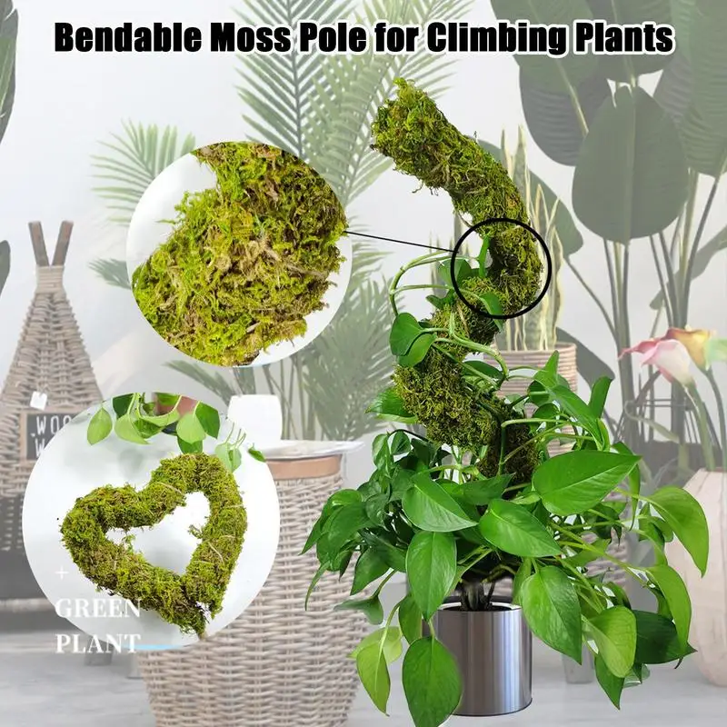 Moss Polul Mizele De Plante Flexibil Moss Pol Pentru Plante Monstera Moss Bastoane Pentru Alpinism Plante Cu Șir De Lumina Si Planta Eticheta Imagine 1