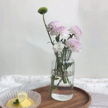 Vaza de flori pentru Decor Acasă Vaza de Sticla cu Flori Terariu Recipient de Masă Ornamente Mici, Planta Vaza